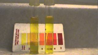 how to denitrate your aquarium FAST denitrate coil [upl. by Rolando]