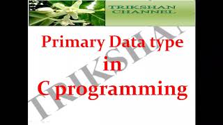 Primary data types in C programming [upl. by Iinde]