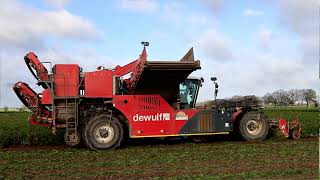 dewulf RA 3060 mit Claas Axion 830 Gespann [upl. by Alol]