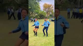 bros they can dance like Shaka Zulu 🔥🔥😂 reels subscribe trend tiktok viralshort amapianosa [upl. by Lina]