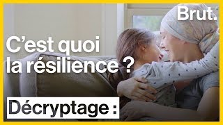 Cest quoi la résilience [upl. by Annoled]