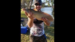 Lake Lascelles Hopetoun Big Catfish [upl. by Darla]