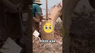 Pria ini mendapatkan tugas yang terlihat sangat sederhanapengeboran tanah shortvideo shorts [upl. by Esmerelda]