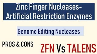 Zinc Finger Nucelases  Genome editing nucleases II ZFN Vs TALENS [upl. by Phineas]