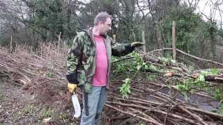 How to Traditional Hedge Laying in the South of England Style [upl. by Adiaz]