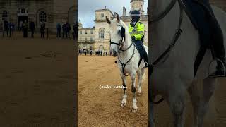 Heartwarming Moment Officer and Her Steed 🐴 london travel royalguard 🇬🇧 [upl. by Eenaffit]