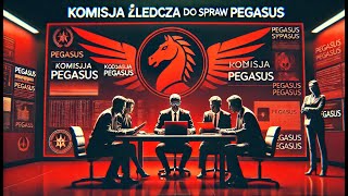 Komisja Śledcza ds Pegasusa  Przesłuchanie Doroty Brejzy [upl. by Polk]