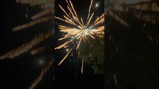 “FIRE IN THE HOLEEE ”🎇 fireworks shorts funny [upl. by Aifoz]