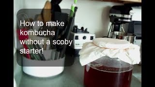 How to make kombucha without a scoby [upl. by Boaten]