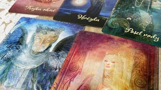 ✨BLÍŽENEC✨LEDEN✨TAROT✨PRÁCE✨LÁSKA💫 [upl. by Idden]