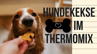 Hundekekse Grundrezept  mit und ohne Thermomix [upl. by Adella]