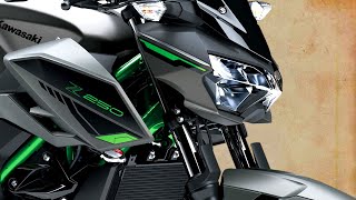 2024 New Kawasaki Z400 amp Kawasaki Z250 Super Naked 2024 Price Specs Released Colors [upl. by Fleming248]