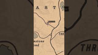 Madam Nazars Location For 1016  RDR2 Online shortsshortsvideomadam nazar location rdr2 [upl. by Aehsrop614]