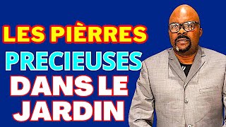 LES PIERRES PRECIEUSES DANS LE JARDIN Dr Adelard Ndaye [upl. by Notnats]