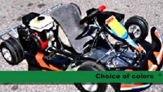 Kids Racing Go Kart For Sale [upl. by Aihsotal]