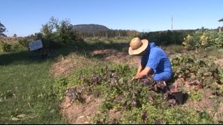 Conheça o centro de formação de agricultores de MontenegroCetam  Programa Rio Grande Rural [upl. by Darya572]