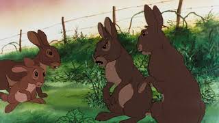 Watership Down 1978 [upl. by Ardin524]