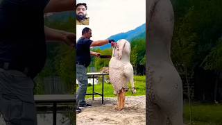 Grilled Ostrich food cooking honey nature wildernessazercay azercay ostrichroast foodie [upl. by Odericus]