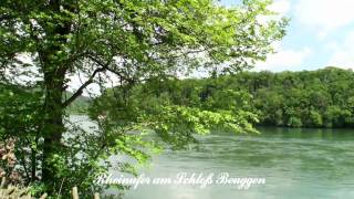 RheinfeldenBaden  Panorama Video [upl. by Aira694]