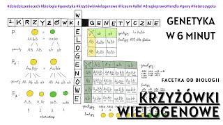 Krzyżówki genetyczne dwugenowe  Lekcje Biologii Online  Liceum  Genetyka  Korki biologia  Geny [upl. by Nortyad]