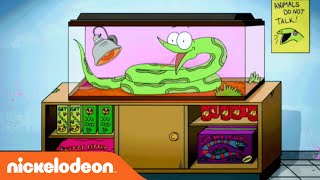 Sanjay and Craig  Official Theme Song  Nick [upl. by Therine954]