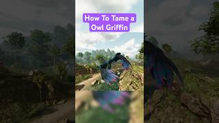 🦉How To Tame an Owl Griffin in ARK Survival Ascended ark arksurvivalascended owlgriffin [upl. by Devad672]