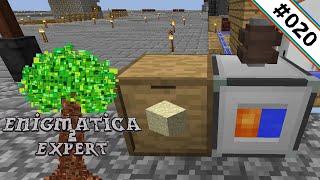 Sand unlimited 🌳 Enigmatica 2 Expert Skyblock 020 [upl. by Enoved]