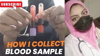 How i collect blood sample  iRishabhSaab the nurse anila shahzadi [upl. by Matthei]