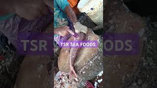 KARAIKAL harbour fish cutting [upl. by Nilyarg]