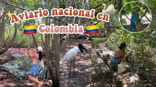 Visité el AVIARIO 🦜 Nacional en CARTAGENA Colombia 🇨🇴 ¿Me sorprendió 😮 [upl. by Previdi]