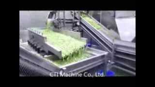 Semi Automatic Weighing and Packing Machine P800E for Beans [upl. by Latsyrd]