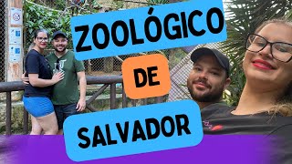 Zoológico de Salvador  Parque Zoobotânico Getúlio Vargas [upl. by Oiromed]