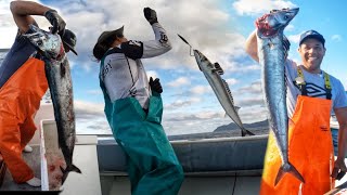 Snoek fishing in Buffels Bay Cape Point [upl. by Giffie]