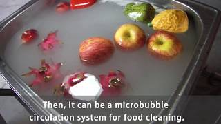 Microbubble Generator for Food Cleaning Device [upl. by Hart]