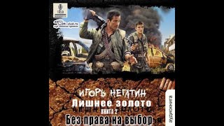 02 Игорь Негатин  Земля Лишних Лишнее золото Книга 2 Без права на выбор [upl. by Tita]