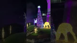 These new light displays in Niagara Falls are so much fun niagarafallscanada shorts [upl. by Enirual]