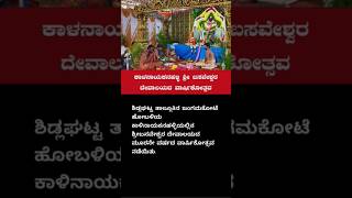 Sidlaghatta  ಕಾಳನಾಯಕನಹಳ್ಳಿ ಶ್ರೀ ಬಸವೇಶ್ವರ ದೇವಾಲಯದ ವಾರ್ಷಿಕೋತ್ಸವ [upl. by Akemhs]