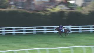 8 October Gallops Gallop 15 [upl. by Ellerud]