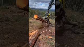 Meet the Modern Forestry Machine That Works All by Itself modernmachine telugufacts shorts [upl. by Arrac766]