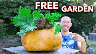 I Spent a Year Growing a Gourd Then Grew a Garden in it [upl. by Arelc869]