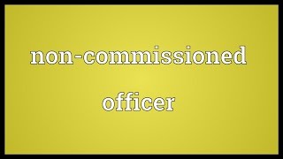 Noncommissioned officer Meaning [upl. by Ycniuqal]