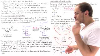 Stage 2 of Glycolysis Steps 45 [upl. by Enaenaj387]