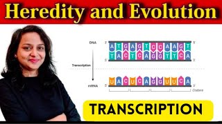 HEREDITY AND EVOLUTION  PART 4  CLASS 10  MAHARASHTRA BOARD [upl. by Carlyn]