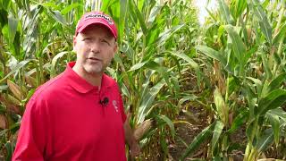 WM23 Research on Tillage Systems for Corn [upl. by Durham467]