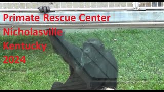 Primate Rescue Center Nicholasville Kentucky 2024 [upl. by Jak44]