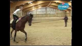 Equestrian Vaulting  What is Equestrian vaulting [upl. by Fishback]