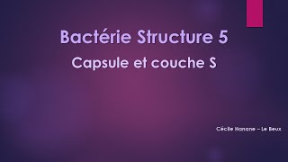 Bactérie Structure 5 CAPSULE et COUCHE S bactériennes sans musique de fond [upl. by Uwton]