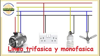 ⚠️Linea trifasica y monofasica en viviendas✅RESPONDO dudas de suscriptores [upl. by Elia35]