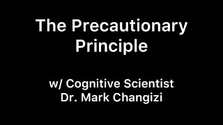 The Precautionary Principle [upl. by Novrej]