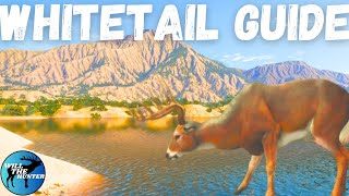 Rancho Del Arroyo Whitetail Deer Zone Guide TheHunter Call Of The Wild 2023 [upl. by Rosse]